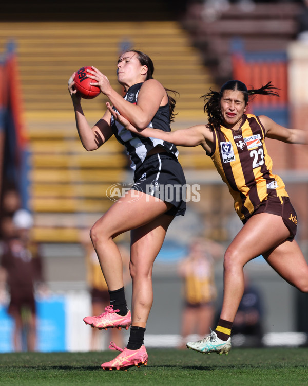 VFLW 2025 Second Semi Final - Collingwood v Box Hill - A-61455422