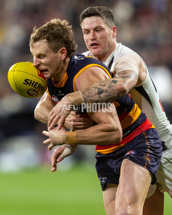 AFL 2025 Round 23 - Adelaide v Collingwood - A-61455455