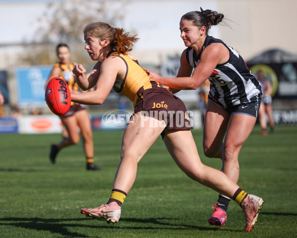 VFLW 2025 Second Semi Final - Collingwood v Box Hill - A-61455467