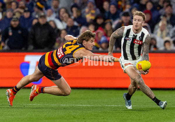 AFL 2025 Round 23 - Adelaide v Collingwood - A-61456180