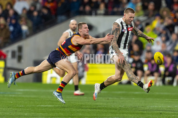 AFL 2025 Round 23 - Adelaide v Collingwood - A-61456182