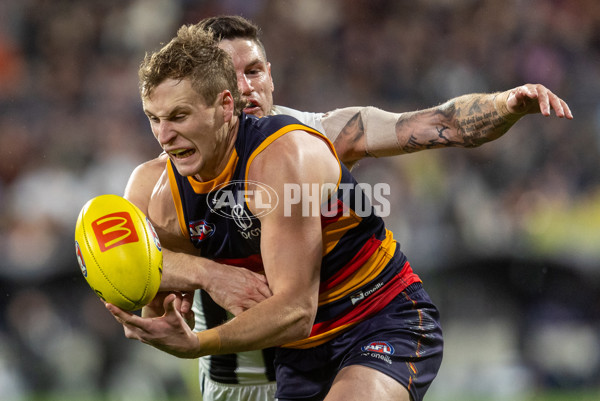 AFL 2025 Round 23 - Adelaide v Collingwood - A-61456185