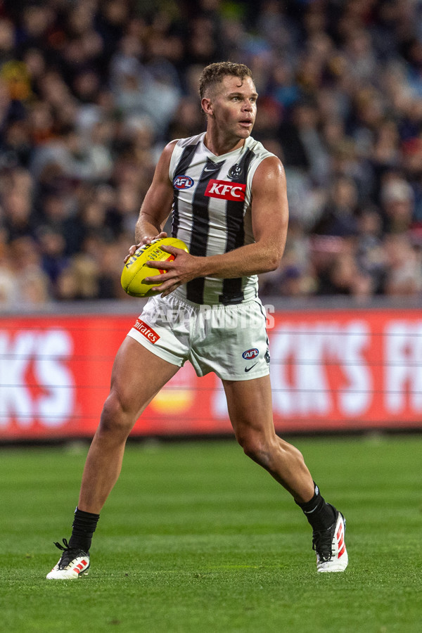 AFL 2025 Round 23 - Adelaide v Collingwood - A-61456186