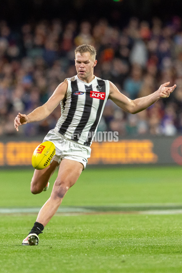 AFL 2025 Round 23 - Adelaide v Collingwood - A-61456190