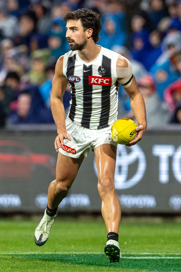 AFL 2025 Round 23 - Adelaide v Collingwood - A-61456192