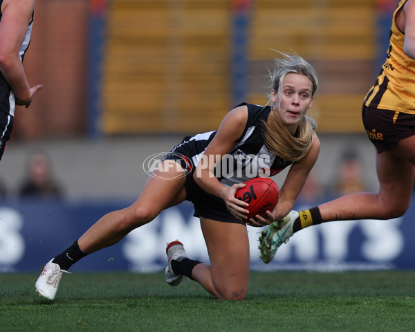 VFLW 2025 Second Semi Final - Collingwood v Box Hill - A-61456236