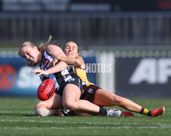 VFLW 2025 Second Semi Final - Collingwood v Box Hill - A-61456257