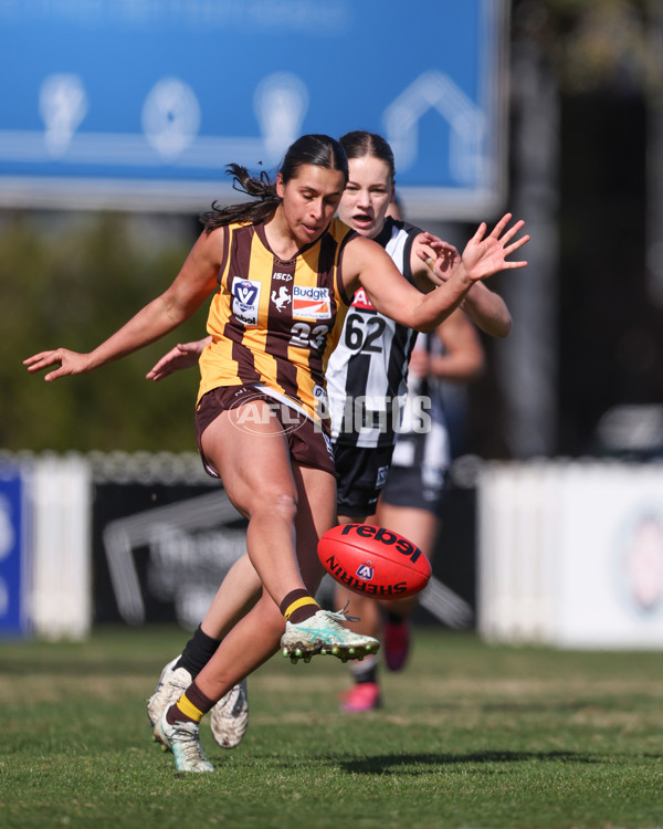 VFLW 2025 Second Semi Final - Collingwood v Box Hill - A-61457607