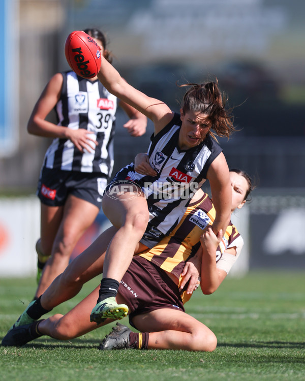 VFLW 2025 Second Semi Final - Collingwood v Box Hill - A-61457608