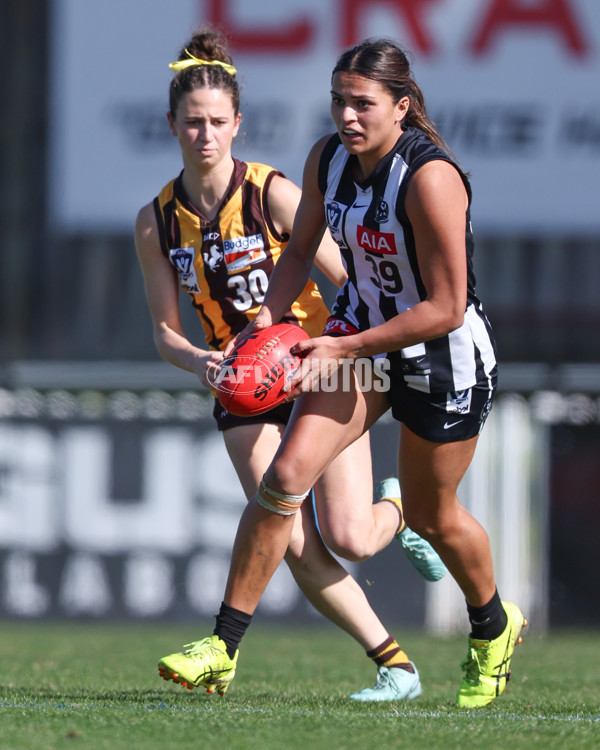 VFLW 2025 Second Semi Final - Collingwood v Box Hill - A-61457609