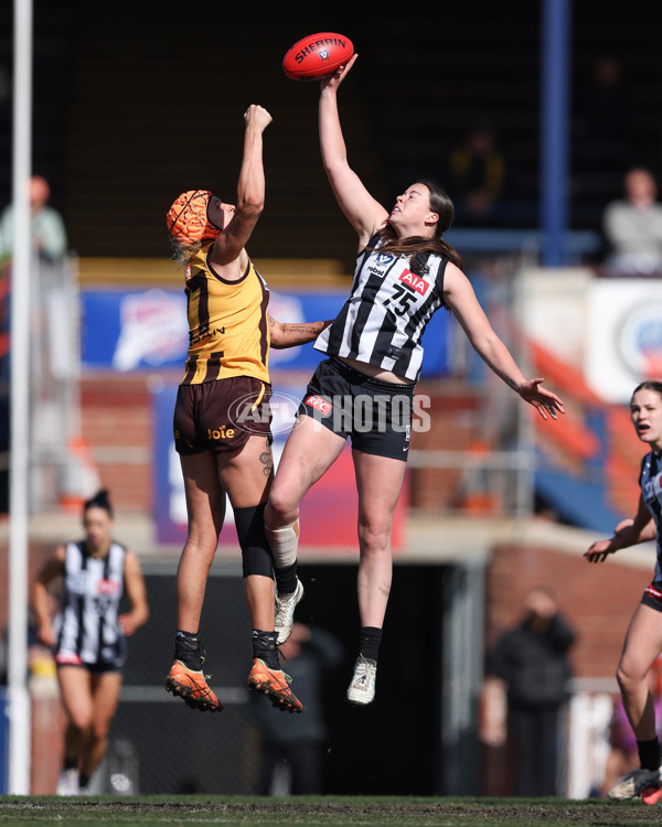 VFLW 2025 Second Semi Final - Collingwood v Box Hill - A-61457629