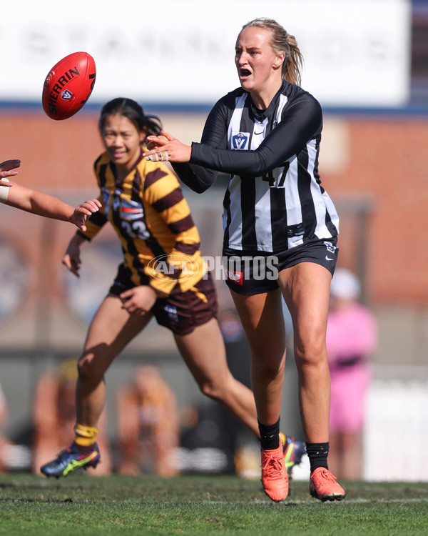 VFLW 2025 Second Semi Final - Collingwood v Box Hill - A-61457630