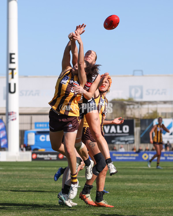 VFLW 2025 Second Semi Final - Collingwood v Box Hill - A-61457636