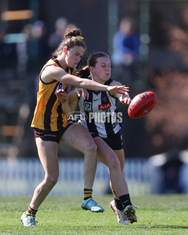 VFLW 2025 Second Semi Final - Collingwood v Box Hill - A-61457648