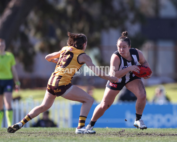 VFLW 2025 Second Semi Final - Collingwood v Box Hill - A-61457655
