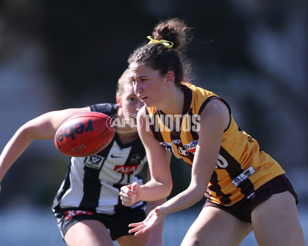 VFLW 2025 Second Semi Final - Collingwood v Box Hill - A-61457657