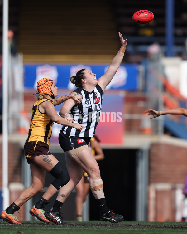 VFLW 2025 Second Semi Final - Collingwood v Box Hill - A-61458704