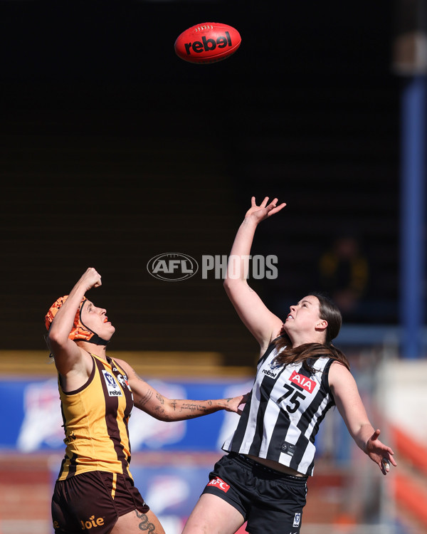 VFLW 2025 Second Semi Final - Collingwood v Box Hill - A-61458705