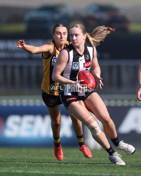 VFLW 2025 Second Semi Final - Collingwood v Box Hill - A-61458710
