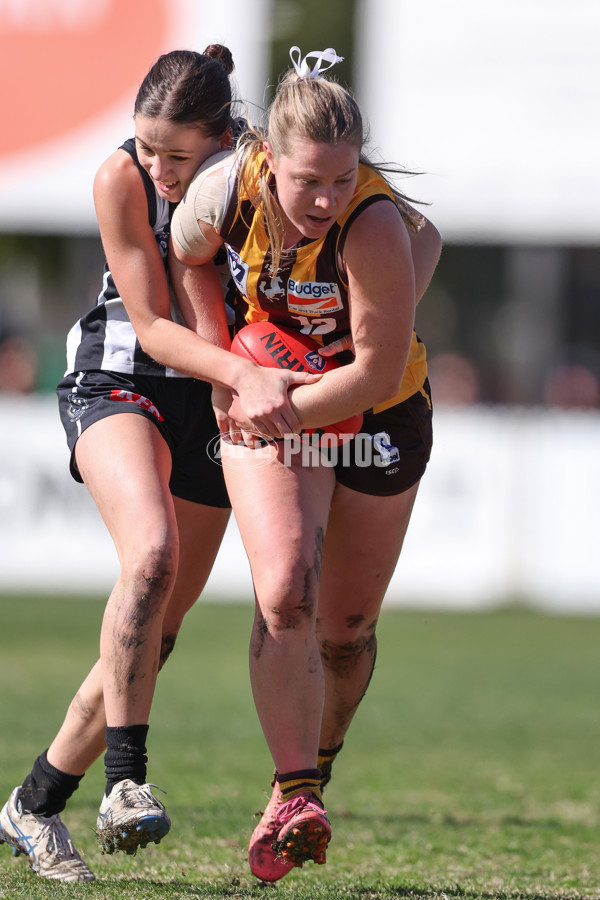 VFLW 2025 Second Semi Final - Collingwood v Box Hill - A-61458722