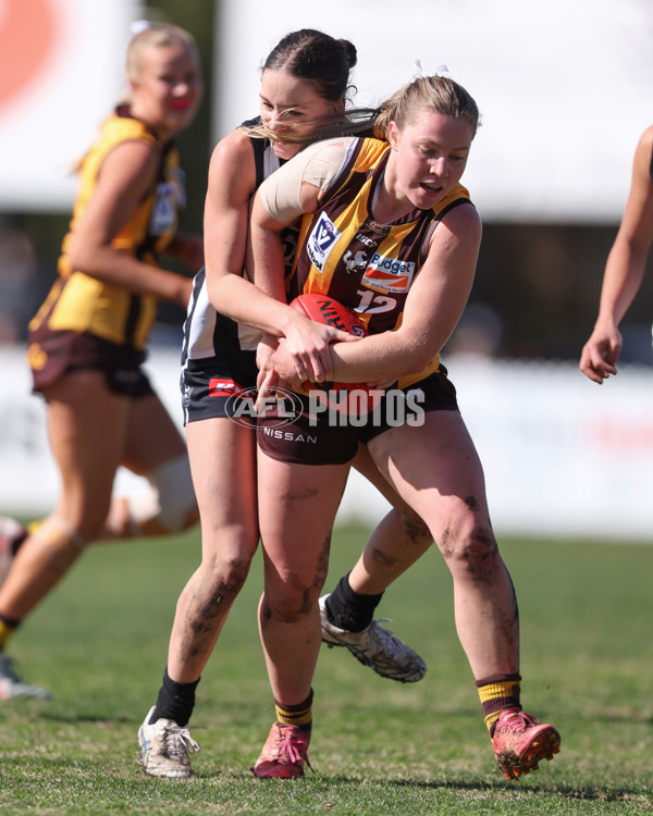 VFLW 2025 Second Semi Final - Collingwood v Box Hill - A-61458724