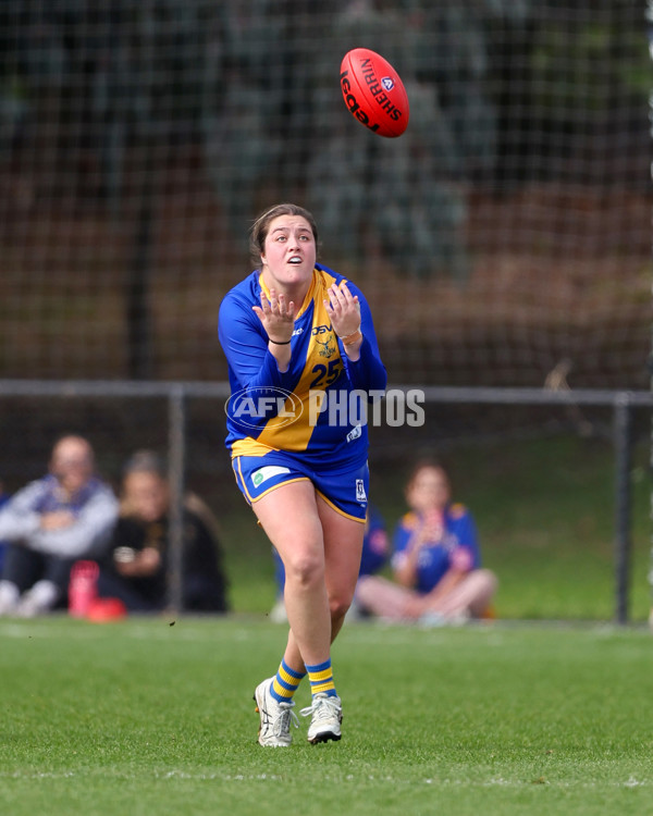 VFL 2025 First Semi Final - North Melbourne Werribee v Williamstown - A-61461344