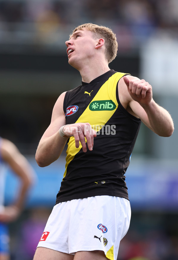 AFL 2025 Round 23 - North Melbourne v Richmond - A-61462712