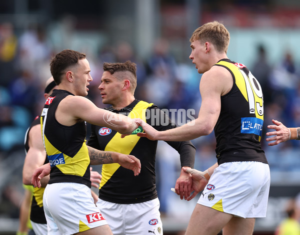 AFL 2025 Round 23 - North Melbourne v Richmond - A-61462714