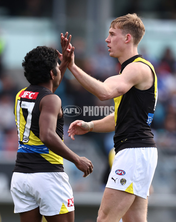 AFL 2025 Round 23 - North Melbourne v Richmond - A-61464158