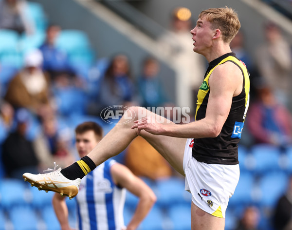 AFL 2025 Round 23 - North Melbourne v Richmond - A-61464167