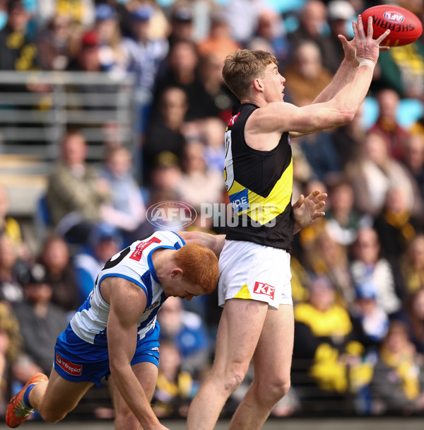 AFL 2025 Round 23 - North Melbourne v Richmond - A-61464168