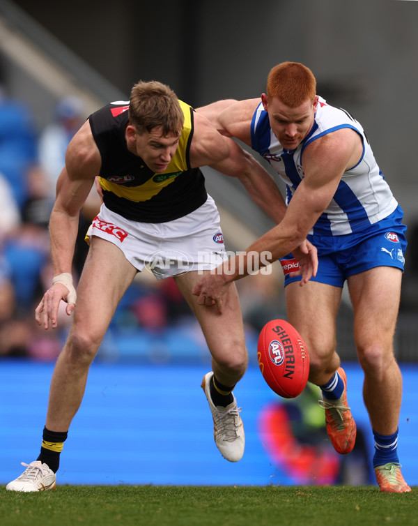 AFL 2025 Round 23 - North Melbourne v Richmond - A-61465070