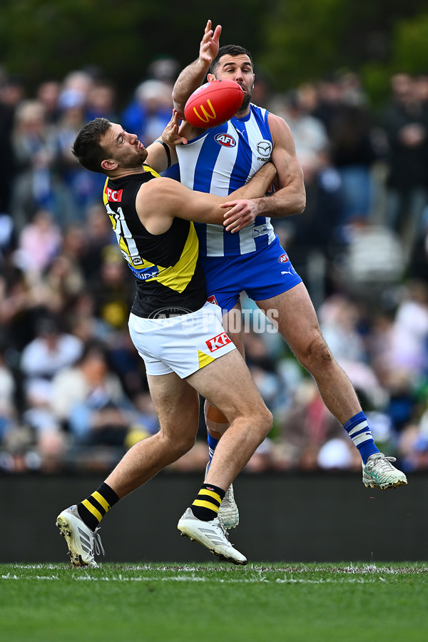 AFL 2025 Round 23 - North Melbourne v Richmond - A-61465092