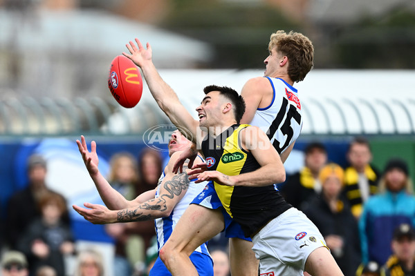 AFL 2025 Round 23 - North Melbourne v Richmond - A-61466396