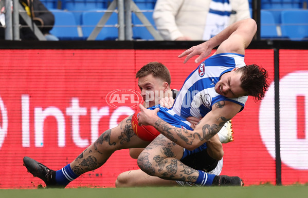 AFL 2025 Round 23 - North Melbourne v Richmond - A-61466402