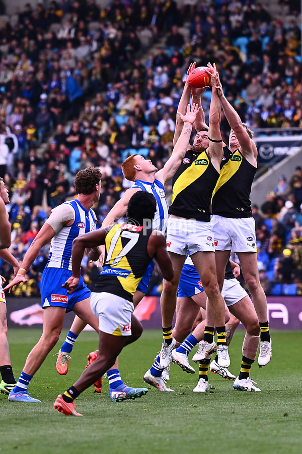 AFL 2025 Round 23 - North Melbourne v Richmond - A-61466420