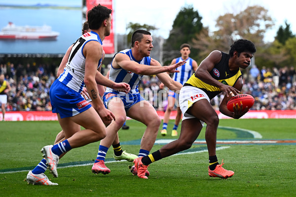 AFL 2025 Round 23 - North Melbourne v Richmond - A-61468012