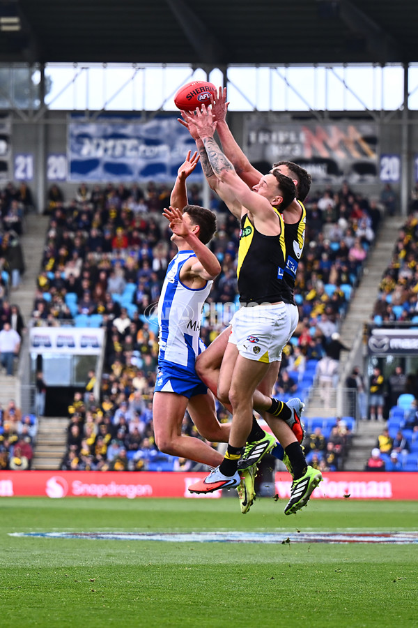 AFL 2025 Round 23 - North Melbourne v Richmond - A-61468063