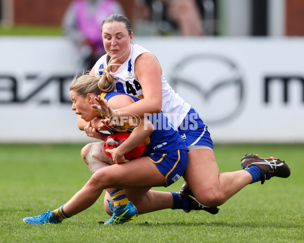 VFL 2025 First Semi Final - North Melbourne Werribee v Williamstown - A-61469104