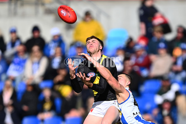 AFL 2025 Round 23 - North Melbourne v Richmond - A-61470768