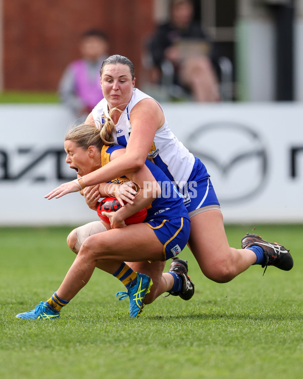 VFL 2025 First Semi Final - North Melbourne Werribee v Williamstown - A-61471429
