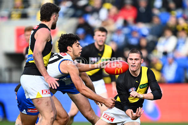 AFL 2025 Round 23 - North Melbourne v Richmond - A-61471467