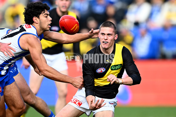 AFL 2025 Round 23 - North Melbourne v Richmond - A-61471468