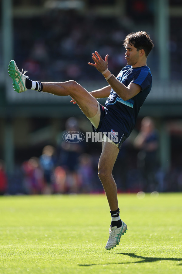 AFL 2025 Round 23 - Sydney v Geelong - A-61471474