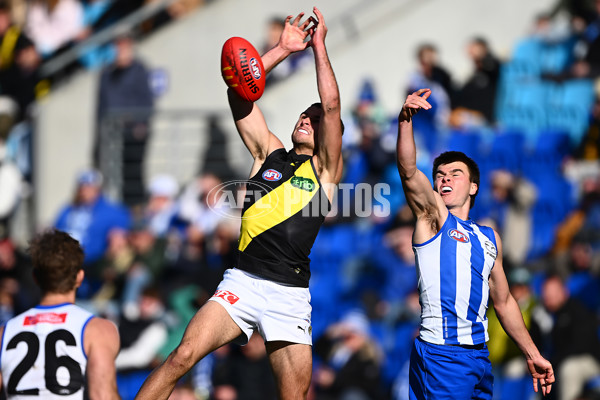 AFL 2025 Round 23 - North Melbourne v Richmond - A-61473551