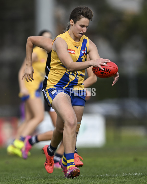 Coates League Girls 2025 Round 17 - Northern Knights v Western Jets - A-61473561