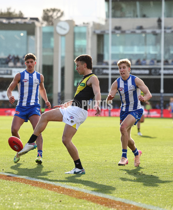 AFL 2025 Round 23 - North Melbourne v Richmond - A-61473606