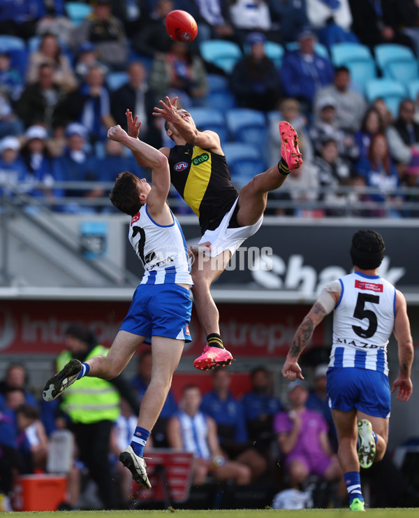 AFL 2025 Round 23 - North Melbourne v Richmond - A-61474582