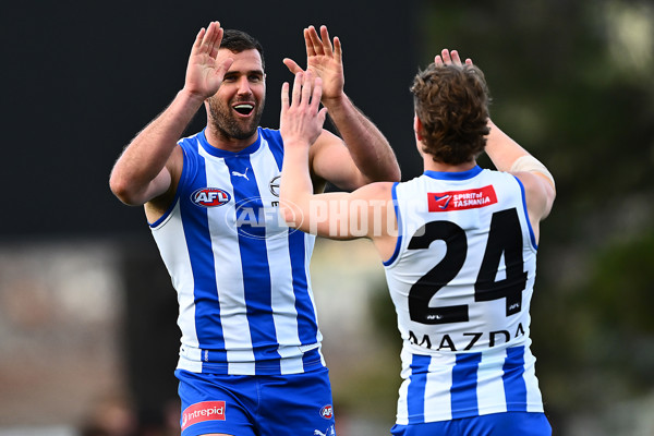 AFL 2025 Round 23 - North Melbourne v Richmond - A-61474652