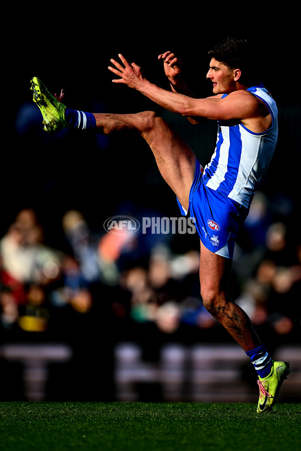 AFL 2025 Round 23 - North Melbourne v Richmond - A-61476200